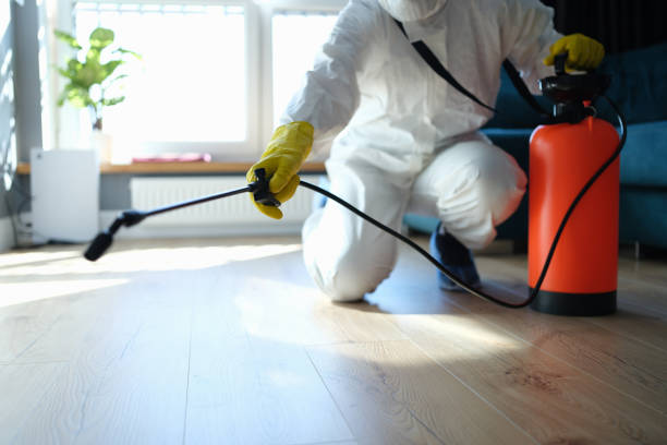 Reliable Odor Removal contractor in Welcome, SC by Trauma Clean Pros